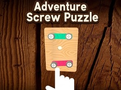 游戏Adventure Screw Puzzle
