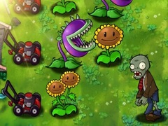游戏Plants vs Zombies Limited Edition