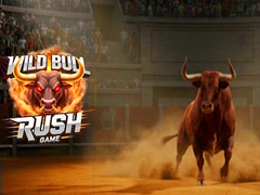 游戏Wild Bull Rush Game