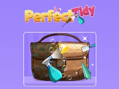 游戏Perfect Tidy
