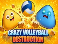 游戏Crazy Volleyball Destruction