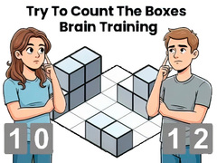 游戏Try To Count The Boxes Brain Training