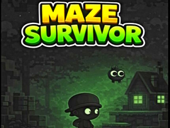 游戏Maze Survivor 