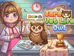 游戏Sara Vet Life Ep14: Owl