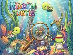 游戏Hidden Turtle