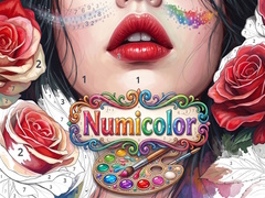 游戏Numicolor