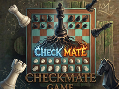 游戏Checkmate Game