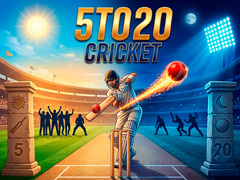 游戏5TO20 Cricket