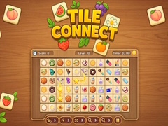 游戏Tile Connect Puzzle