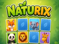 游戏Naturix