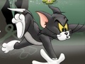 游戏Tom And Jerry Chase In Marsh
