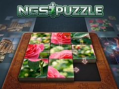游戏NGS Puzzle