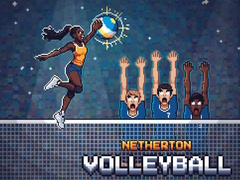 游戏Netherton Volleyball