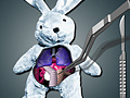 游戏Save The Bunny