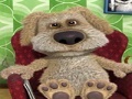 游戏Talking Ben the Dog