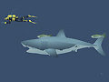 游戏Mad Shark