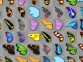 游戏Butterfly kyodai