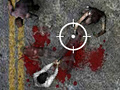 游戏Undead Highway