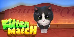 小猫比赛 